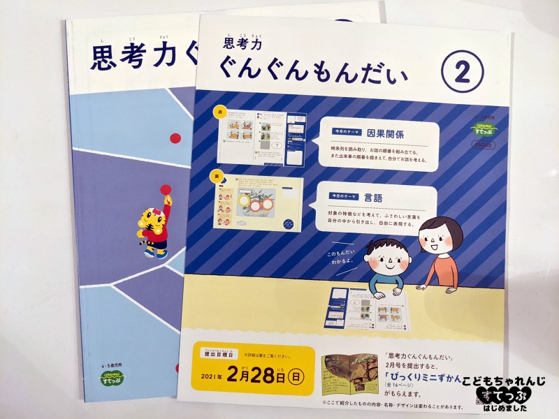 こどもちゃれんじすてっぷ2月号<思考力特化コース>感想・口コミ 